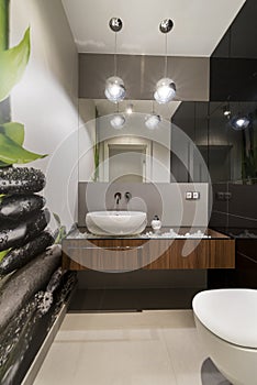 Modern lavatory interior design architecture