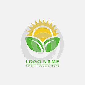 modern leaf sun logo icon