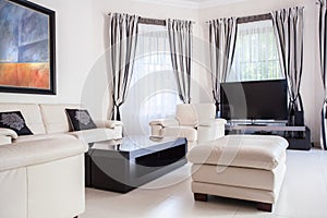 Modern and leather furnitures
