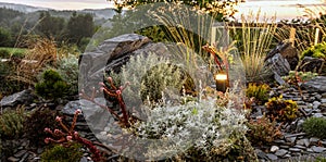 Modern LED Illuminated Rockery Garden photo