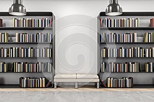 Modern library interior with bookcase, bench and mock up place on wall.