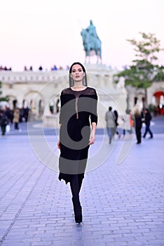 Modern life with princess in celebrity style. Fashion and beauty of business lady. Luxury woman in evening dress in city