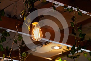 Modern light bulb in eco-friendly bistro