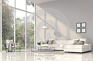 Modern living room interior with white sofa ans gray wall 3d render photo