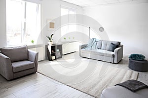 Modern living room interior with stylish sofa