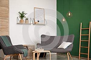 Modern living room interior stylish sofa