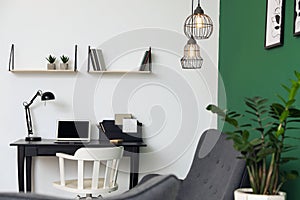 Modern living room interior stylish sofa