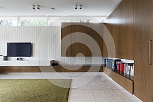 Modern living room with walnut cabinets and tv