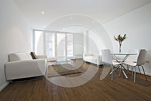 Modern living room img