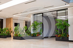 Modern Lobby with Indoor Plant Arrangement