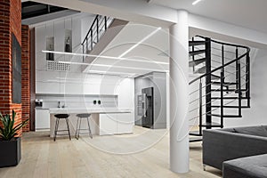 Modern loft apartment with mezzanine floor