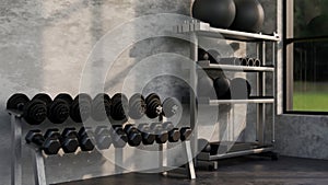 Modern loft fitness gym or training room interior design with rows of dumbbells