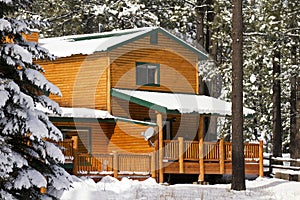 Modern Log Cabin Home In The Winter Woods