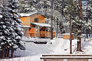 Modern Log Cabin Home In The Winter Woods