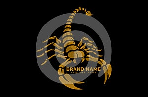 Modern logo scorpion in attack. Vector illustration. photo