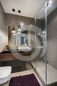 Modern luxury bathroom with shower