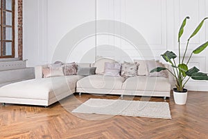 Modern luxury stylish apartment interior in pastel colors. a very bright room, daylight. white walls, wooden parquet