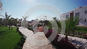 Modern luxury villas surround landscaped garden path with exotic plants, decorative bridge. Real estate development