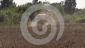 Modern machinery harvest wheat grain field near forest