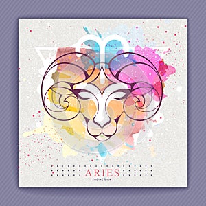 Modern magic witchcraft card with astrology Aries zodiac sign on artistc watercolor background. Ram or mouflon head logo design