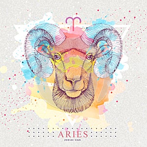 Modern magic witchcraft card with astrology Aries zodiac sign on artistic watercolor background. Realistic hand drawing ram