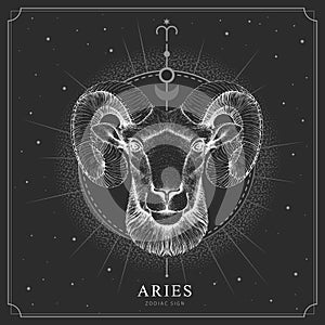 Modern magic witchcraft card with astrology Aries zodiac sign. Realistic hand drawing ram or mouflon head