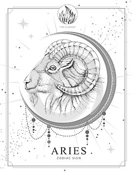 Modern magic witchcraft card with astrology Aries zodiac sign. Realistic hand drawing ram or mouflon head