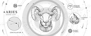 Modern magic witchcraft card with astrology Aries zodiac sign. Realistic hand drawing ram or mouflon head.