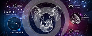 Modern magic witchcraft card with astrology Aries zodiac sign. Realistic hand drawing ram or mouflon head. Zodiac characteristic