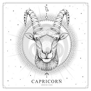 Modern magic witchcraft card with astrology Capricorn zodiac sign. Realistic hand drawing ram or mouflon head photo
