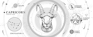 Modern magic witchcraft card with astrology Capricorn zodiac sign. Realistic hand drawing ram or mouflon head.