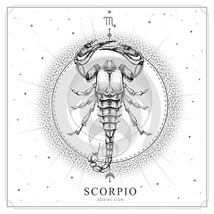 Modern magic witchcraft card with astrology Scorpio zodiac sign. Realistic hand drawing scorpion illustration