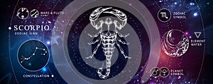 Modern magic witchcraft card with astrology Scorpio zodiac sign. Realistic hand drawing scorpion illustration.