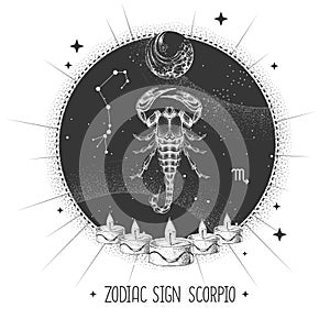 Modern magic witchcraft card with astrology Scorpio zodiac sign. Realistic hand drawing scorpion illustration.