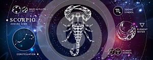 Modern magic witchcraft card with astrology Scorpio zodiac sign. Realistic hand drawing scorpion illustration. photo