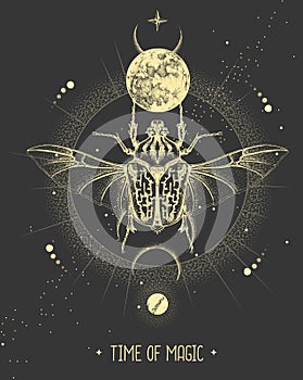 Modern magic witchcraft card with moon and Goliath beetle. Hand drawing occult illustration