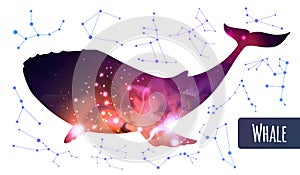 Modern magic witchcraft whale silhouette with outer space background inside. Star map background with constellations