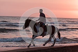 A modern man in summer clothes enjoys riding a horse on a beautiful sandy beach at sunset. Selective focus
