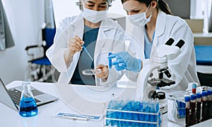 Modern medical research laboratory. female scientist working with micro pipettes analyzing biochemical samples, advanced science