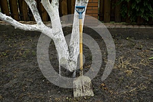 Modern metal shovel spade at the tree on the ground