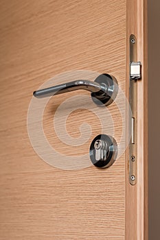 Modern metallic door handle on medium density fiberboard bedroom door photo