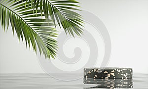 Modern Minimal Platform Black Terrazzo Stone On Water Ripple With Palm Leaf And White Background 3d render