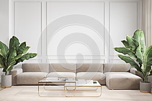 Modern minimalism white interior with couch, sofa, palm plants and coffee tables.
