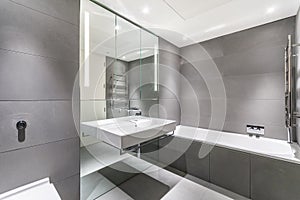 Modern minimalist bathroom in gray and white