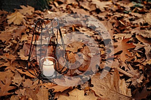 Modern minimalist black lantern with burning candle on background of autumn leaves in forest. Hello Fall! Glowing lantern in moody