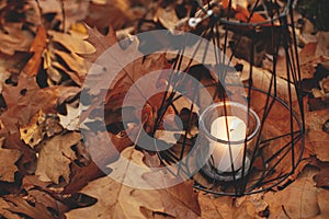Modern minimalist black lantern with burning candle on background of autumn leaves in forest. Hello Fall! Glowing lantern in moody