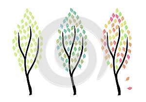 Modern minimalist illustration of three trees in spring summer and autumn colors