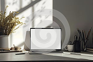 Modern Minimalist Workspace: Laptop, Sunlight, and Plants