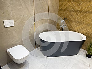 Modern minimalistic bathroom interior with ceramic bathtub in home comfortable apartment