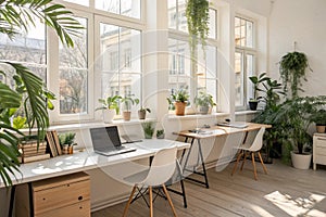 Cozy modern office interior with plants photo